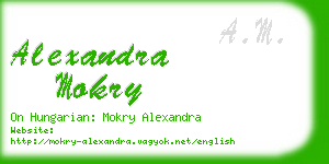 alexandra mokry business card